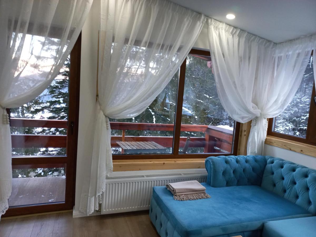 Kalinderu Luxury Ski Loft Busteni Exterior photo