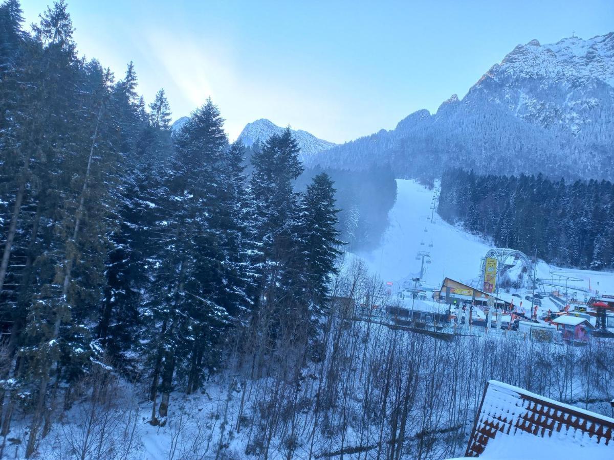 Kalinderu Luxury Ski Loft Busteni Exterior photo